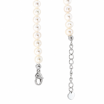 316 stainless steel lobster clasp and 5cm extender chain with a small heart charm